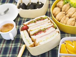 初級から上級者まで堪能できるスキーが楽しめます