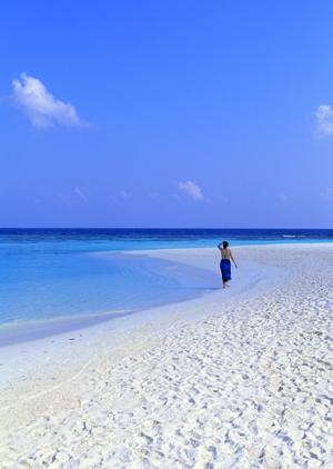 忘れられない船旅をしてみませんか